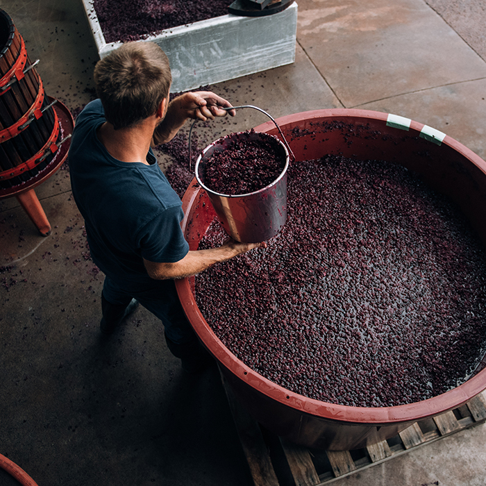 Vinproduktion Australien